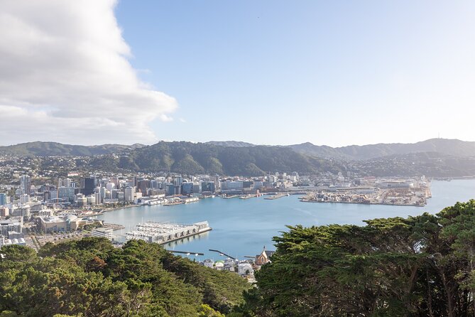 1/2 Day Guided Wellington Tour incl. Cable Car (Vans not buses) - Following the coast through Lyall Bay