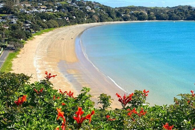 1.5h Waiheke Guided Scenic Tour in our Electric Van - Why this short Waiheke tour makes sense