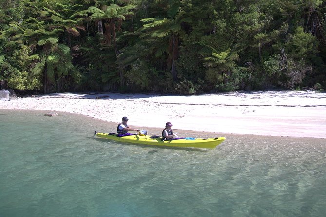 1 Day Freedom Rental - Paddling the Abel Tasman coastline at your own speed
