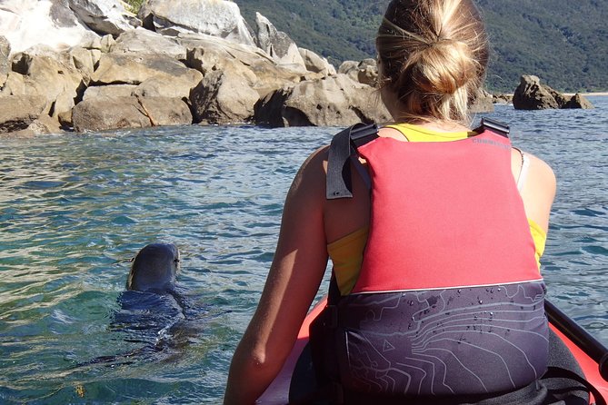 1 Day Sea Kayak Rental - Offshore islands, seals, and birdsong