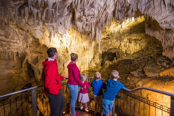 1-Hour Guided Tour of Aranui Cave Waitomo - From the Ruakuri Scenic Reserve to the cave entrance