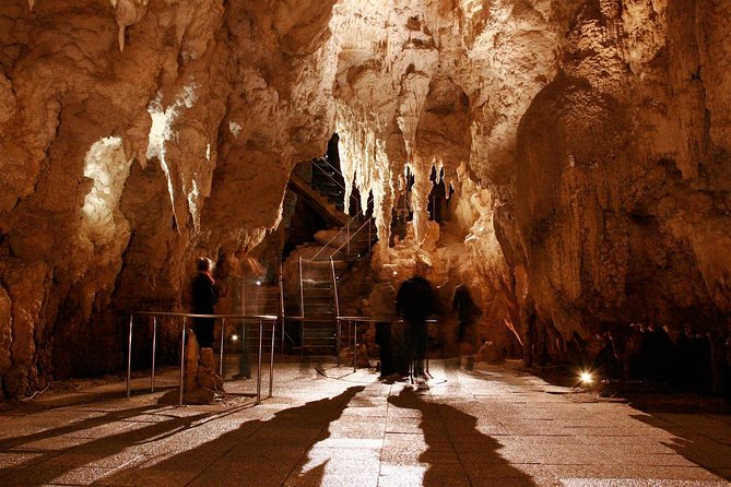 1-Hour Guided Tour of Aranui Cave Waitomo - Is the $50.27 price good value?