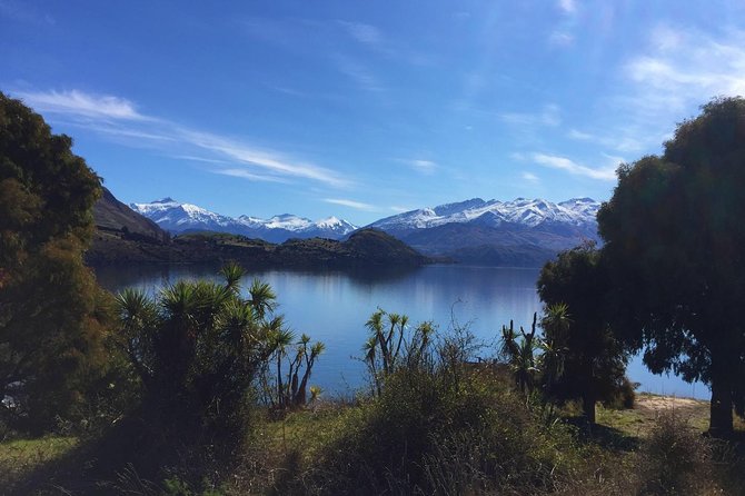 1-Hour Ruby Island Cruise and Walk - Why Ruby Island Works for a Short Wanaka Visit