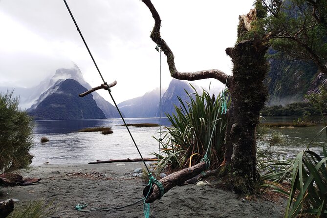 12 Day New Zealand Private Tour from Auckland to Queenstown - Auckland begins with museums, temples, and food