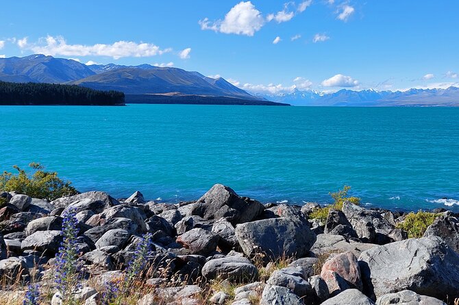 12 Day New Zealand Private Tour from Auckland to Queenstown - Kaikōura and Akaroa offer two very different day trips