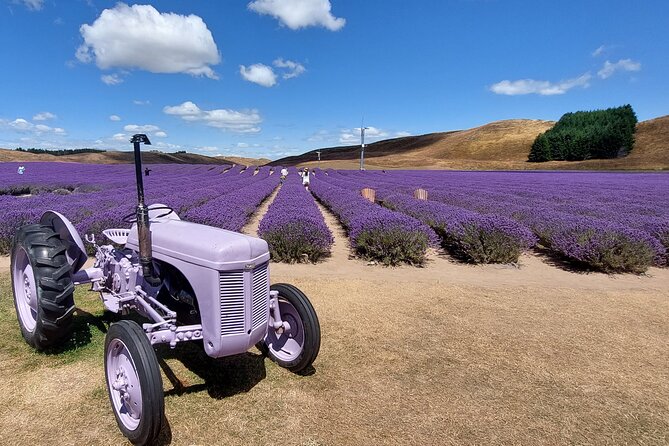 12 Day New Zealand Private Tour from Auckland to Queenstown - Hobbiton and Rotorua bring movie magic and Māori culture