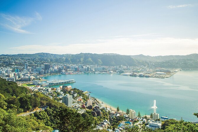 15-Minute Wellington Harbour Helicopter Flight - Cook Strait and the open-water view
