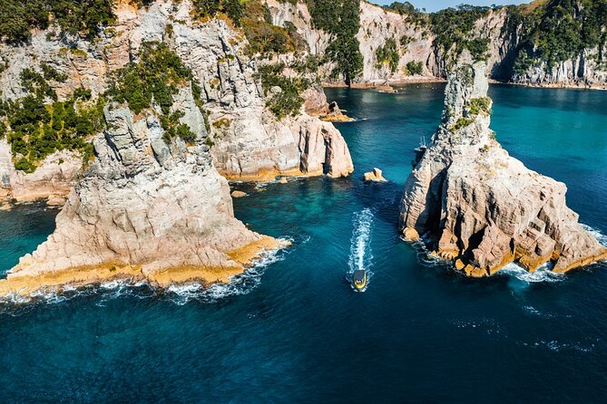 2 Hour Cathedral Cove and Volcanic Coast Cruise with Shade Canopy - Cooks Beach and the unusual blowhole
