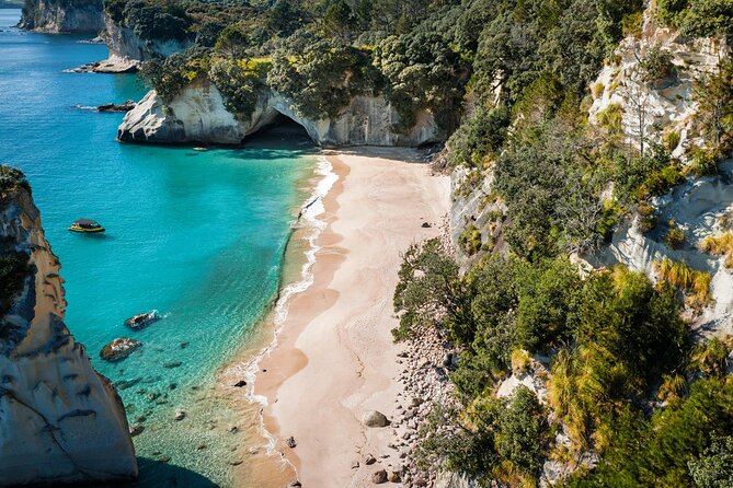 2 Hour Cathedral Cove and Volcanic Coast Cruise with Shade Canopy - The guides make the ride more than scenery