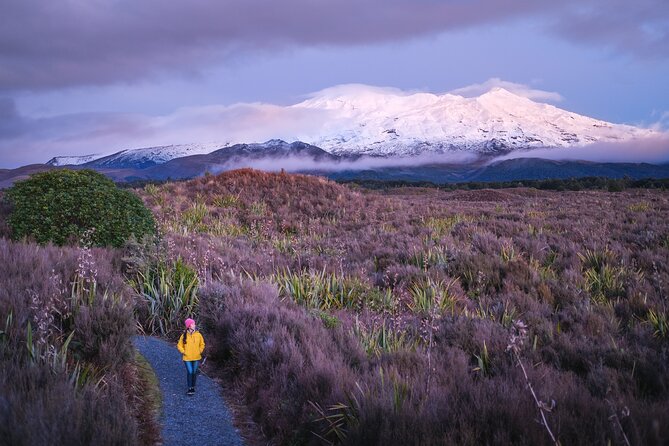 2 Hour Pre Sunset Guided Group Walk - Taranaki Falls and its 20-metre drop