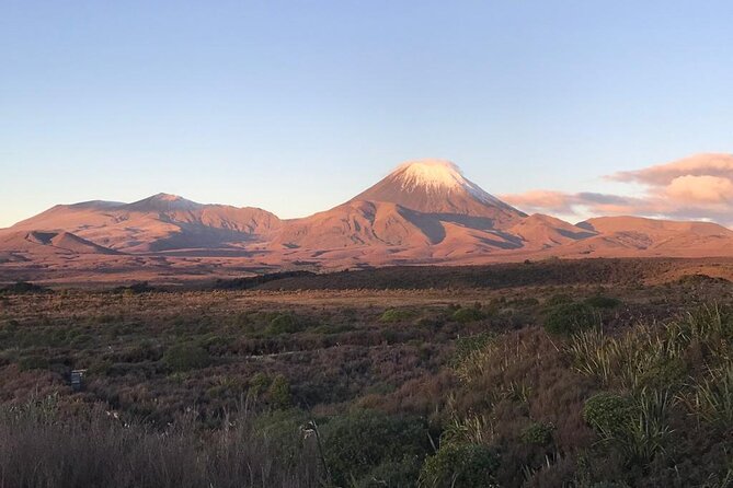 2 Hour Pre Sunset Guided Group Walk - Is NZD123.65 good value?