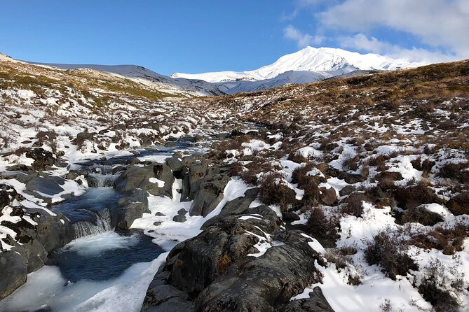 2 Hour Pre Sunset Guided Group Walk - Following the Taranaki Falls loop