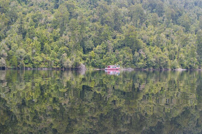 2-Hour Scenic Cruise in Lake Mapourika - A kiwi conservation area and the short rainforest walk