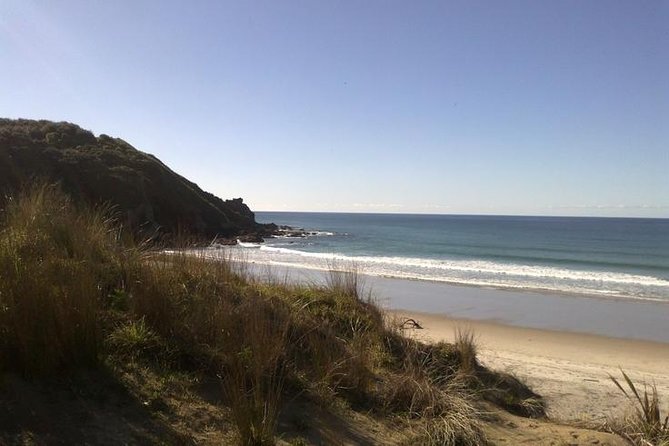 2 Hour Surf Lesson - Te Arai Beach - Positioning and paddling are the real foundations
