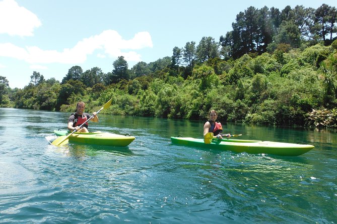 2-Hour Waikato River Guided Kayak Trip from Taupo - A gentle paddle on the Waikato River