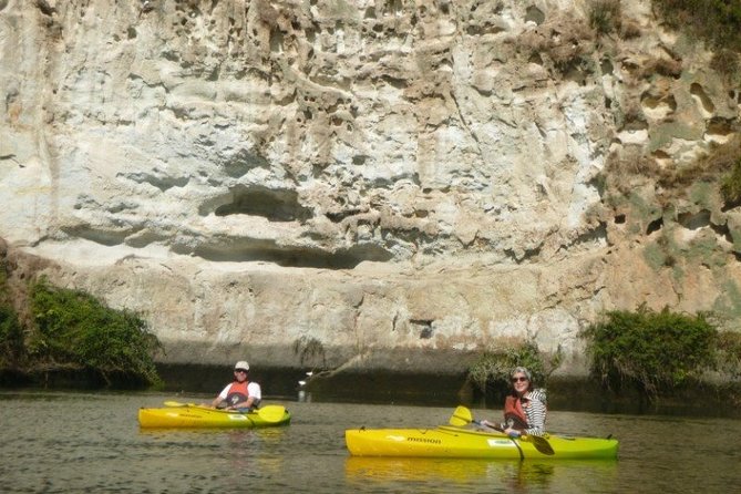 2-Hour Waikato River Guided Kayak Trip from Taupo - Guides who keep the trip easy