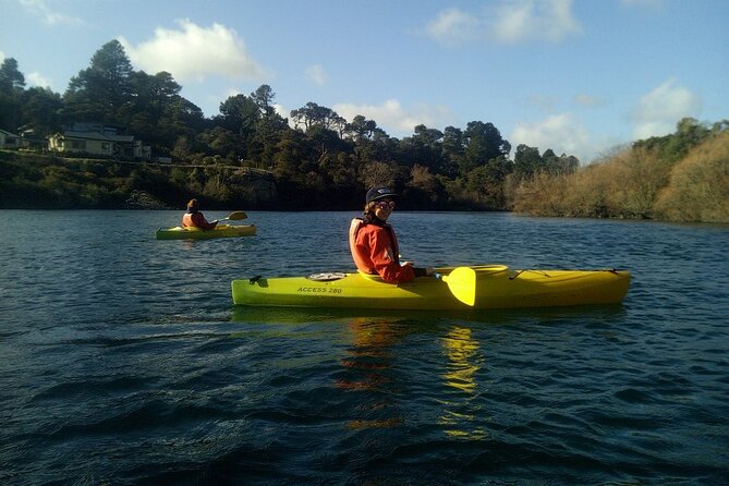 2-Hour Waikato River Guided Kayak Trip from Taupo - Who will get the most from this two-hour trip?