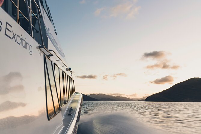 3.5 Hour Marlborough Sounds Delivery Cruise - Queen Charlotte Track connections and the value of a flexible route