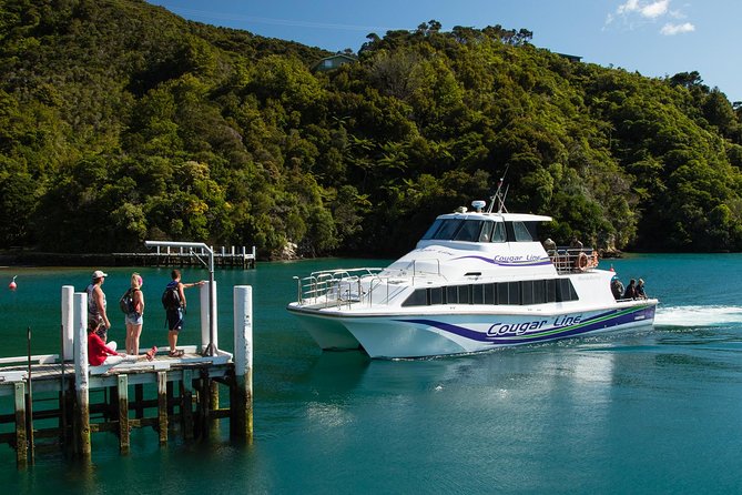3.5 Hour Marlborough Sounds Delivery Cruise - Skipper commentary and the human side of the trip