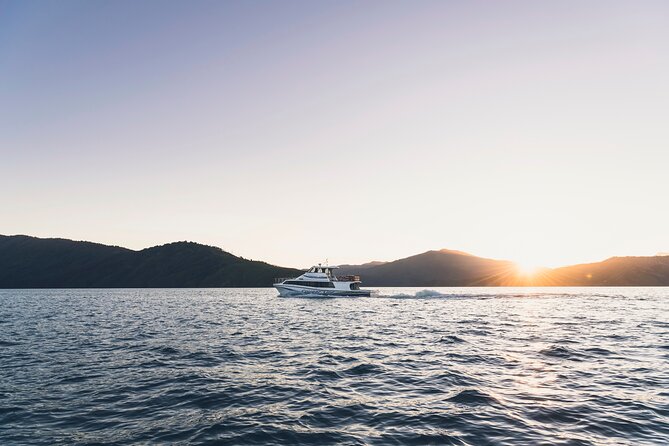 3.5 Hour Marlborough Sounds Delivery Cruise - Weather, comfort, and the three-and-a-half-hour timing