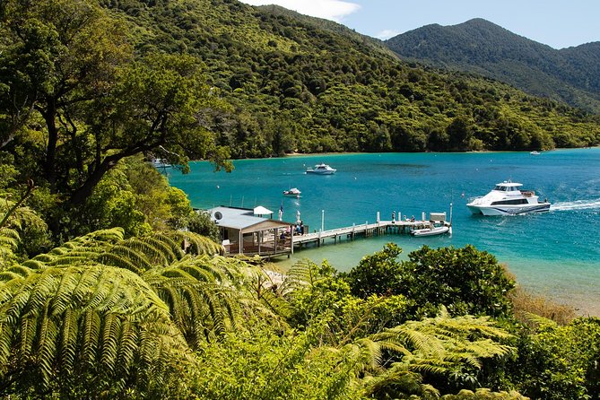 3.5 Hour Marlborough Sounds Delivery Cruise - Remote homes, resorts, and small waterfront stops
