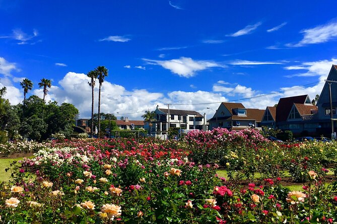 3.5 hour Sunset Tour on Waiheke Island - Batch Winery, the high point and dinner option