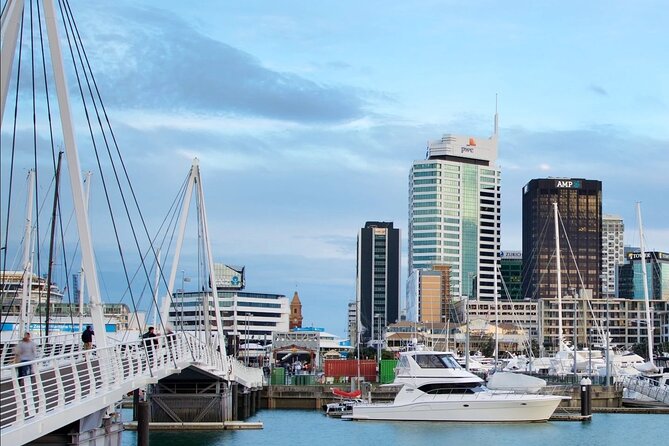 3.5 hour Sunset Tour on Waiheke Island - The guides are a major part of the value