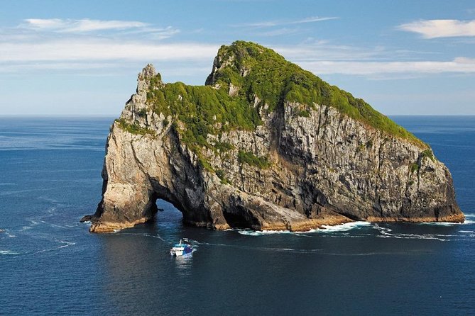 3-Day Bay of Islands Tour from Auckland - Day two: kauri forest, sand dunes, and Cape Reinga