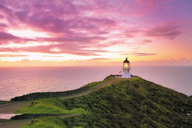 3 Day Bay Of Islands Tour from Auckland including Waitangi and Cape Reinga - What this three-day Northland trip is really like