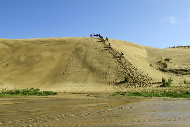 3 Day Bay Of Islands Tour from Auckland including Waitangi and Cape Reinga - The mix of guided time and free time