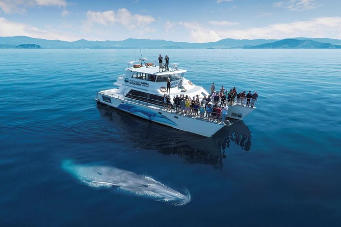 3 Day Bay Of Islands Tour from Auckland including Waitangi and Cape Reinga - Who should book this tour?