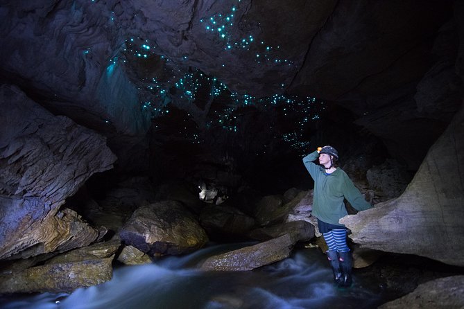 3-Hour Private Photography Tour in Waitomo Caves - Photographing glow worms without being rushed