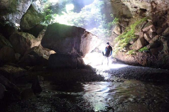 3-Hour Private Photography Tour in Waitomo Caves - Who should book this cave photography experience