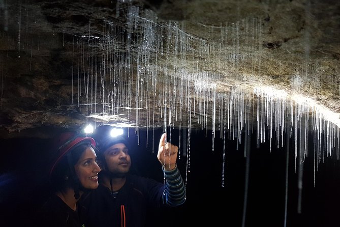 3-Hour Private Photography Tour in Waitomo Caves - Meeting at Down to Earth near Te Kuiti