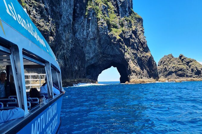 3 Hours // Hole in the Rock Cruise & Bay of Islands Tour - Check in at Pier 10 in Paihia