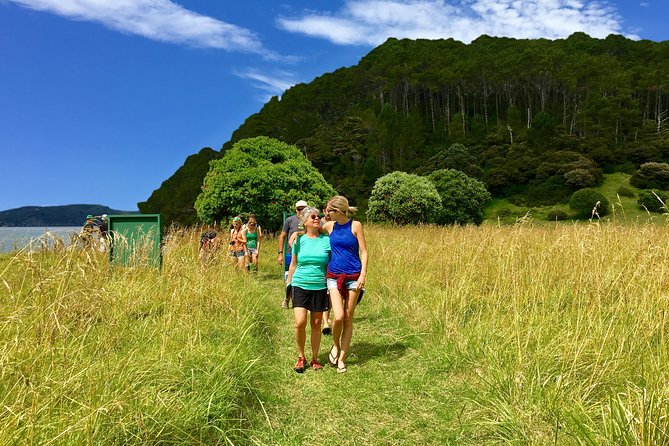 3 Hours // Hole in the Rock Cruise & Bay of Islands Tour - Motuarohia Island and the lookout walk