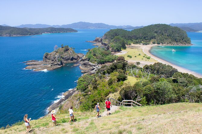 3 Hours // Hole in the Rock Cruise & Bay of Islands Tour - Wildlife sightings add a welcome surprise
