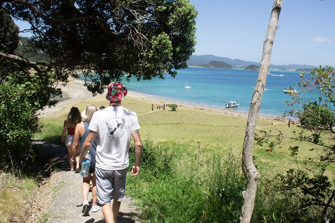 3 Hours // Hole in the Rock Cruise & Bay of Islands Tour - How weather changes the experience