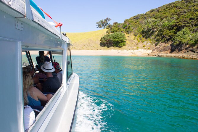 3 Hours // Hole in the Rock Cruise & Bay of Islands Tour - Is $89.98 good value?