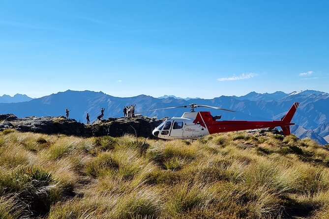 30-Minute Alpine Scenic Flight from Queenstown - What the $251.33 price buys you