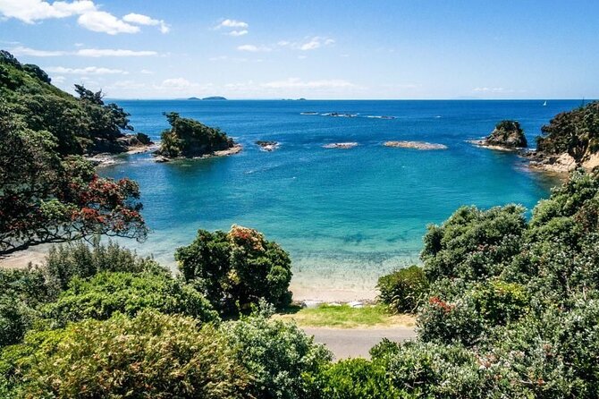 4.5-Hour Scenic Wine Tour with Private Guide & Up to 12 Tastings - Starting at Matiatia Wharf