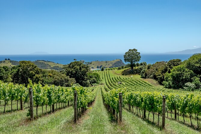 4.5-Hour Scenic Wine Tour with Private Guide & Up to 12 Tastings - The third tasting and changing vineyard choices