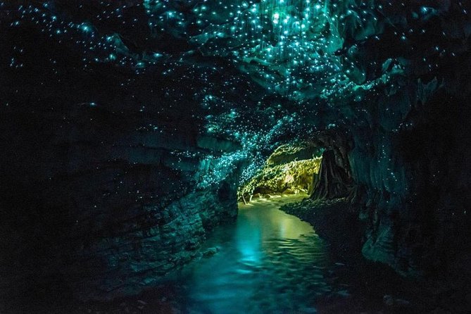4-Day Auckland to Wellington via Rotorua Tour - Key points to know before booking