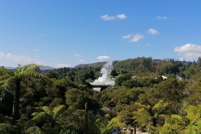 4-Day Auckland to Wellington via Rotorua Tour - What this four-day route really offers