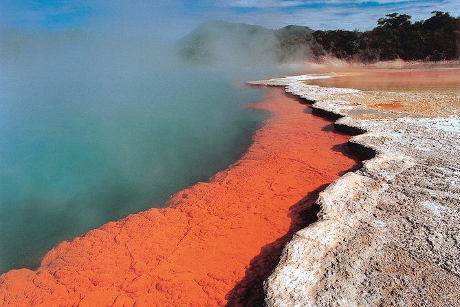 4-Day Auckland to Wellington via Rotorua Tour - Day 2: Whakarewarewa and Maori culture