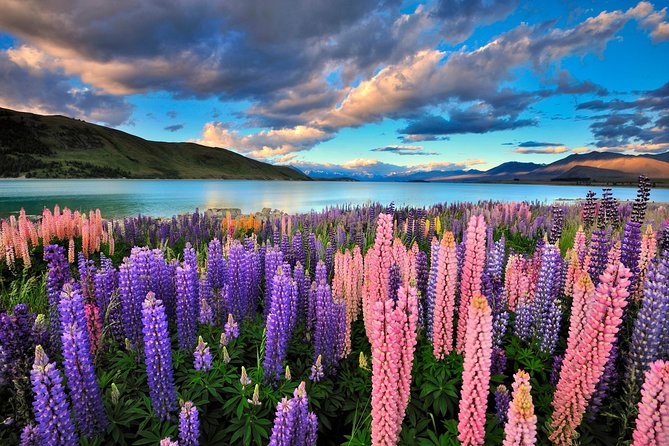 4-Day Great Southern Island Circle Tour from Christchurch - Key points before you book