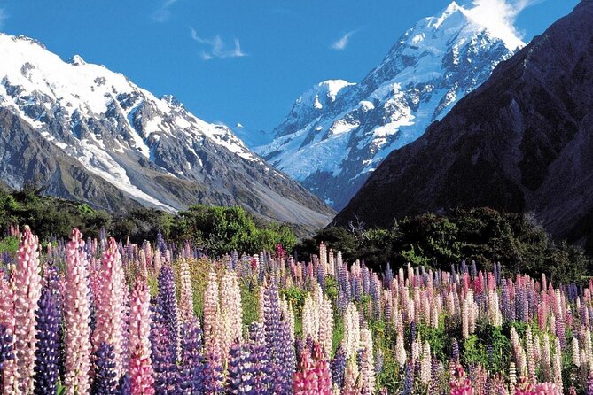 4-Day Great Southern Island Circle Tour from Christchurch - Day two: Te Anau and the Milford Sound cruise