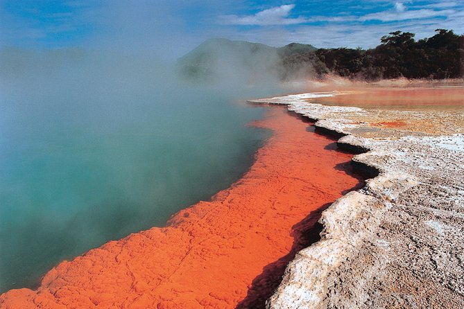 4-Day Wellington to Auckland via Rotorua Tour - Key points to know before booking