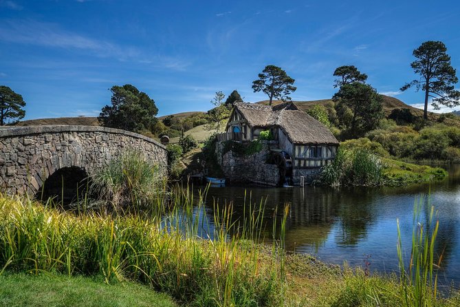 4-Day Wellington to Auckland via Rotorua Tour - Auckland on day three and day four