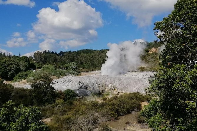 4-Day Wellington to Auckland via Rotorua Tour - How the transport setup affects your experience